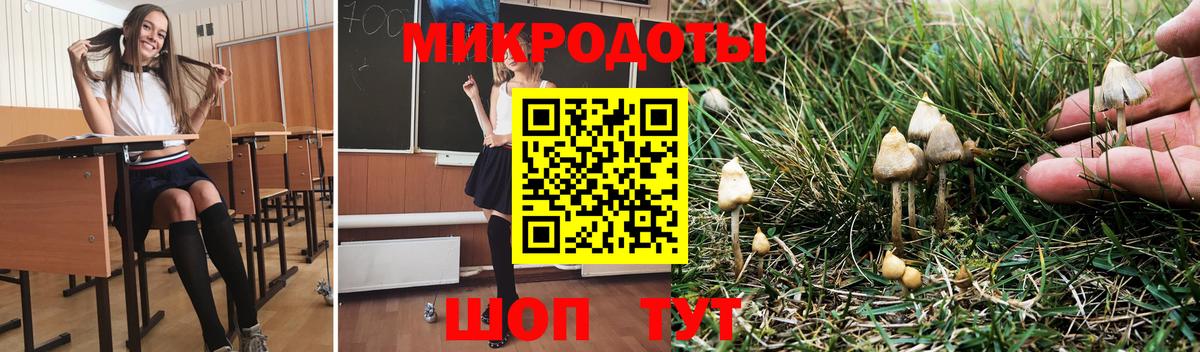 Псилоцибиновые грибы Psilocybe Ликино-Дулёво