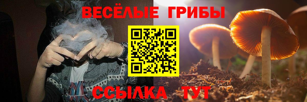 Галлюциногенные грибы GOLDEN TEACHER  Псилоцибиновые грибы Cubensis  Ликино-Дулёво  Вход с VPN 